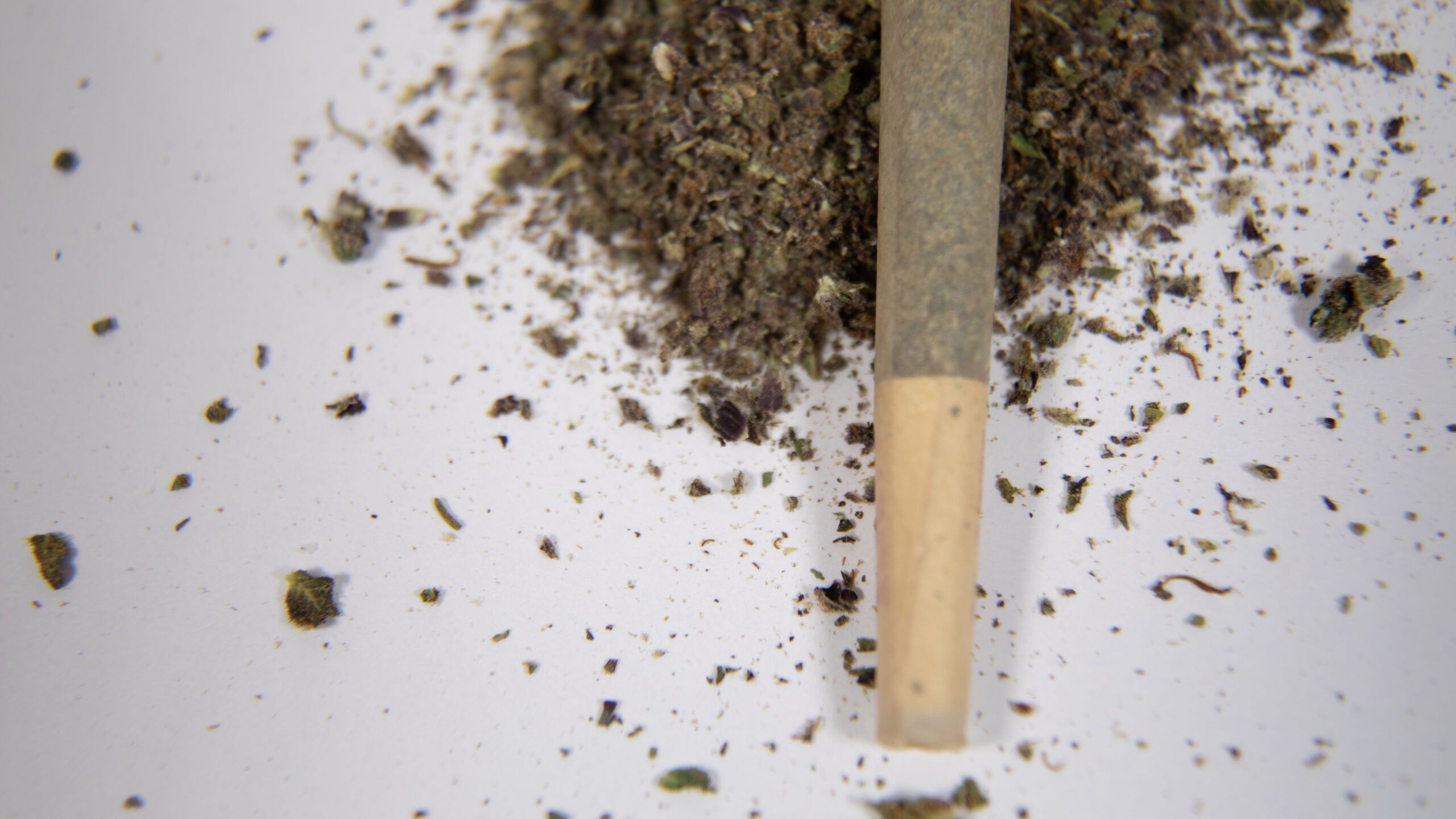 Are There Side Effects of Regular Cannabis Use?